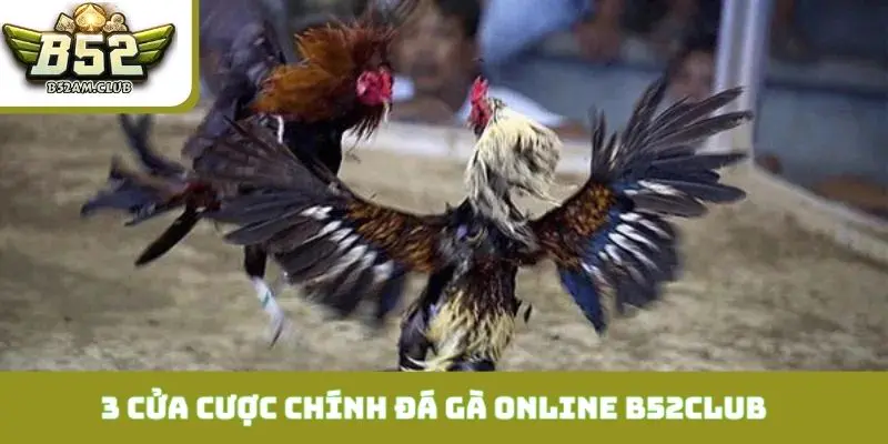 Có 3 cửa cược chính mà bạn cần biết tại đá gà online B52CLUB