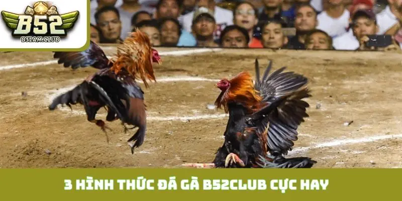 Không thể bỏ qua 3 hình thức đá gà B52CLUB cực hay này